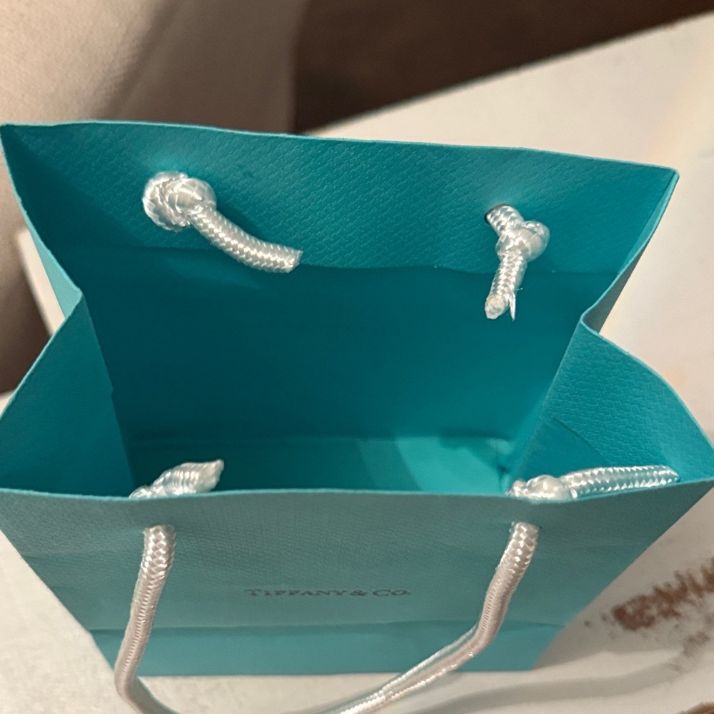 Tiffany & Co. Turquoise Shopping Bag only - Picture 6 of 6